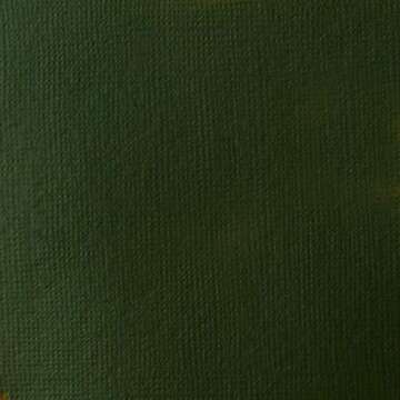 Liquitex BASICS Acrylic Paint, 118ml (4-oz) Tube, Hooker’s Green Hue Permanent