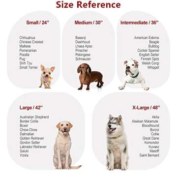 Jongee Heavy Duty Dog Crate Cage Strong Metal Dog Kennel with Lockable Wheels and Tray for Small ＆ Medium Dog, 30×21×28inches, Orchid