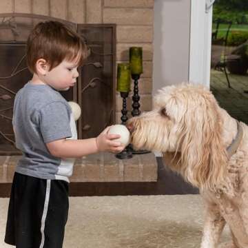 Wool Dryer Balls XL 4-Pack - 100% Pure New Zealand Wool, Ecoigy Natural Fabric Softener, Reduces Wrinkles & Drying Time, Ideal for Essential Oils, Dryer Sheets Alternative,Dryer Balls Laundry Reusable