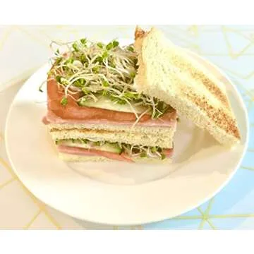 Organic Broccoli Sprouting Seeds for Home Gardens - Fresh & Easy