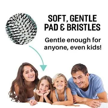 Leyla Milani Hair Detangler Brush - Miracle Brush Human Hair Brushes for Sensitive Scalp, Gentle Detangling, Shine, Volumizing, Nylon Boar Bristle, Best Paddle Brush for Women, Men, Kids