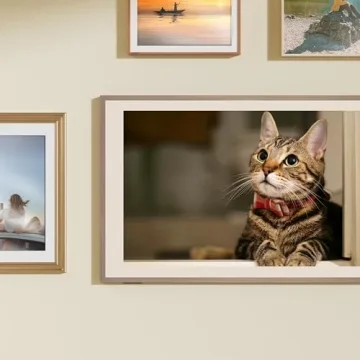 Hisense 65-Inch QLED Smart TV with Art Mode