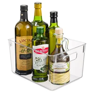 Clear Plastic Storage Bins for Home Organization Set of 4