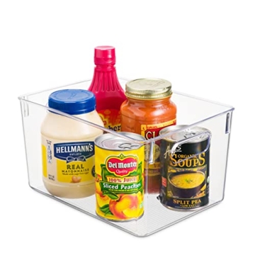Clear Plastic Storage Bins for Home Organization Set of 4