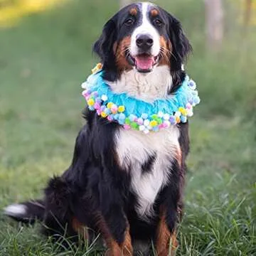 Midlee Blue Birthday Pom Pom Dog Collar for Pets