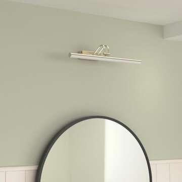 RAIFOOLLY 20" Antique Brass Picture Light with Remote