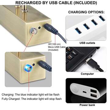 RAIFOOLLY 20" Antique Brass Picture Light with Remote