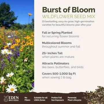 Eden Brothers Burst of Bloom Wildflower Mixed Seeds for Planting, 1 lb, 480,000+ Seeds with Cosmos, ...