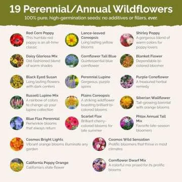 Eden Brothers Burst of Bloom Wildflower Mixed Seeds for Planting, 1 lb, 480,000+ Seeds with Cosmos, Black Eyed Susan | Attracts Pollinators, Plant in Spring or Fall, Zones 3, 4, 5, 6, 7, 8, 9, 10