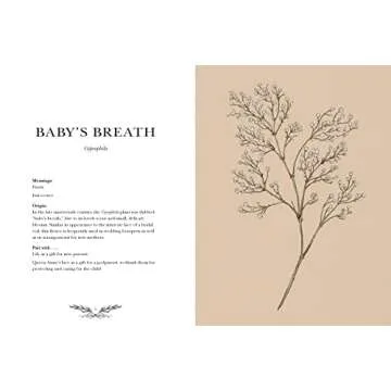 Floriography: An Illustrated Guide to the Victorian Language of Flowers (Volume 1) (Hidden Languages)