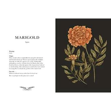 Floriography: An Illustrated Guide to the Victorian Language of Flowers (Volume 1) (Hidden Languages)