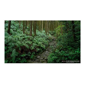 Sony 24-105mm F4 G OSS Zoom Lens for All Photographers