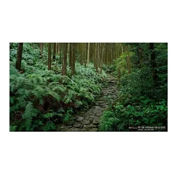 Sony 24-105mm F4 G OSS Zoom Lens for All Photographers