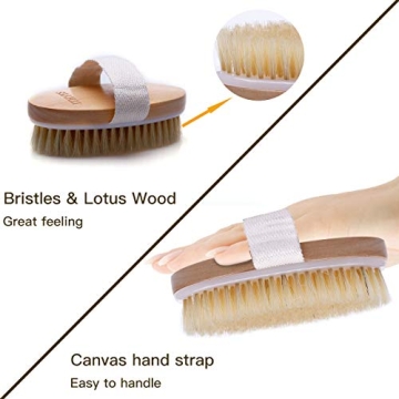Ithyes Natural Bristle Dry Brushing Body Brush for All Skin Types