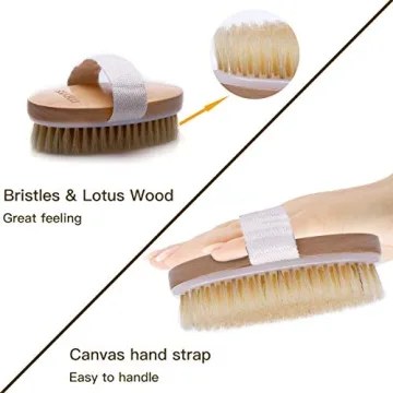 Ithyes Natural Bristle Dry Brushing Body Brush for All Skin Types