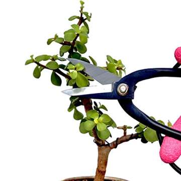 7.3” Bonsai Scissors - High Carbon Steel Precision Shears
