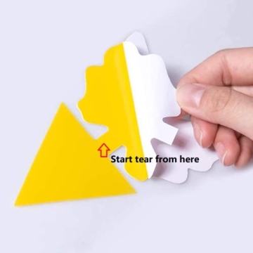 12 Pack Sticky Fruit Fly and Gnat Traps for Plants