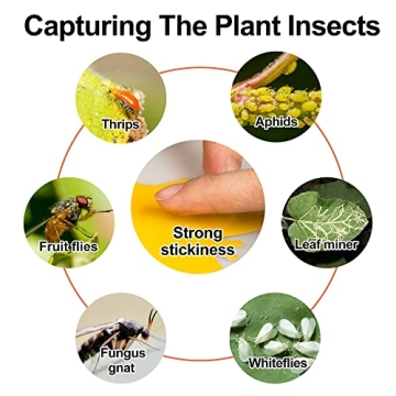 12 Pack Sticky Fruit Fly and Gnat Traps for Plants