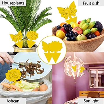 12 Pack Sticky Fruit Fly and Gnat Traps for Plants