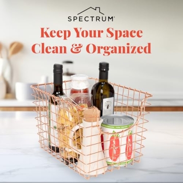 Spectrum Diversified Copper Wire Storage Basket for Home