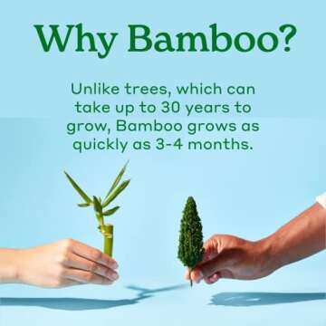 Caboo Tree Free Paper Towels, 2 Rolls, Tree Free, Eco Friendly, Earth Friendly, Sustainable Kitchen Paper Towels with Strong 2 Ply Sheets