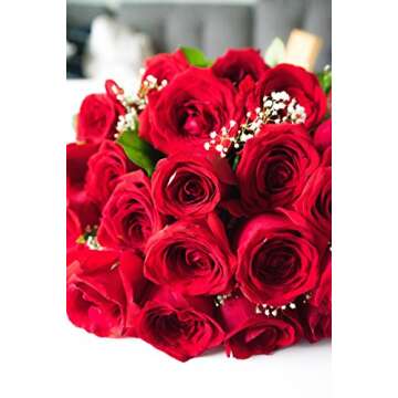 DELIVERY BY FRIDAY, 1/31 GUARANTEED IF ORDER PLACED BY 1/30 BEFORE 2PM EST From You Flowers - Two Dozen Long Stemmed Red Roses with Glass Vase (Fresh Flower Bouquets) Birthday, Anniversary,