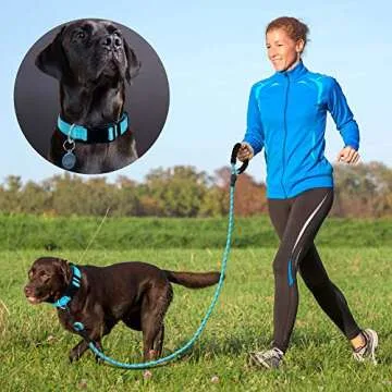Ladoogo Reflective Dog Collar Padded with Soft Neoprene Breathable Adjustable Nylon Dog Collars for Small Medium Large Dogs (Medium (Pack of 1), Blue Collar+Leash)