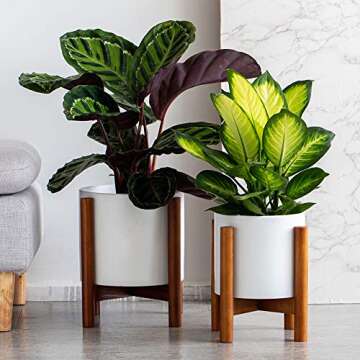 kimisty 8 Inch Mid Century Modern Ceramic Planter with Stand Indoor, Retro White Large Plant Pot with Bamboo Wood Stand, Extra Large Tall Floor Tree Planter, with Drainage and a Plug