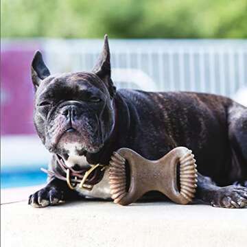 Lumabone Real Bacon Flavored Small Dental Dog Chew Toy