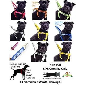 NERVOUS Yellow Color Coded 2 4 6 Foot Padded Dog Leash (Give Me Space) PREVENTS Accidents By Warning Others of Your Dog in Advance (Standard Leash)