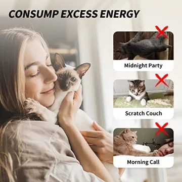 uahpet Cat Wand Interactive Toy Set for Indoor Cats