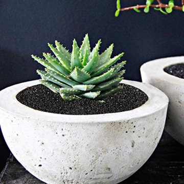 TOYPOPOR Decorative Glass Stones for Home and Aquariums