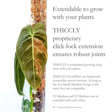THICCLY GrowPole Version 2 - Ideal for Climbing Aroids