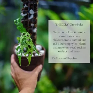 THICCLY GrowPole Version 2 - Ideal for Climbing Aroids
