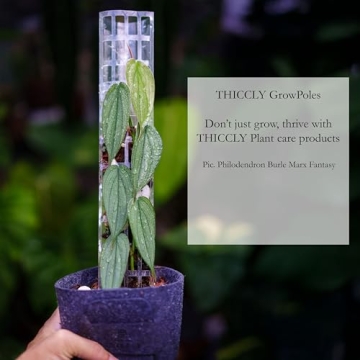THICCLY GrowPole Version 2 - Ideal for Climbing Aroids