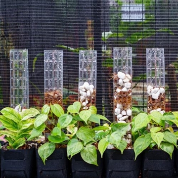 THICCLY GrowPole Version 2 - Ideal for Climbing Aroids