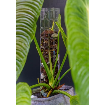 THICCLY GrowPole Version 2 - Ideal for Climbing Aroids