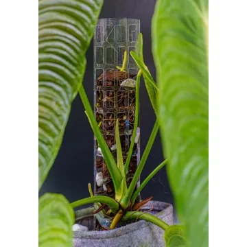 THICCLY GrowPole Version 2 - Ideal for Climbing Aroids