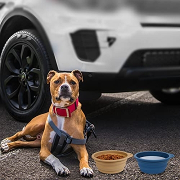 Durable Collapsible Dog Bowls - Travel & Outdoor Use