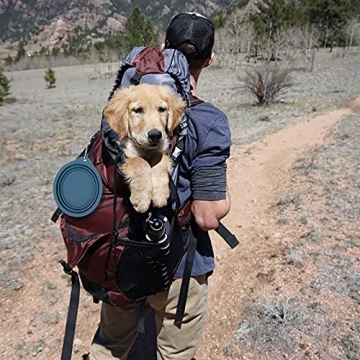Durable Collapsible Dog Bowls - Travel & Outdoor Use