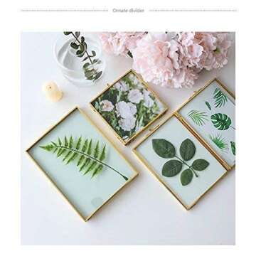 Elegant Rising Star Brass Double Picture Frame 4x6