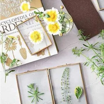 Elegant Rising Star Brass Double Picture Frame 4x6