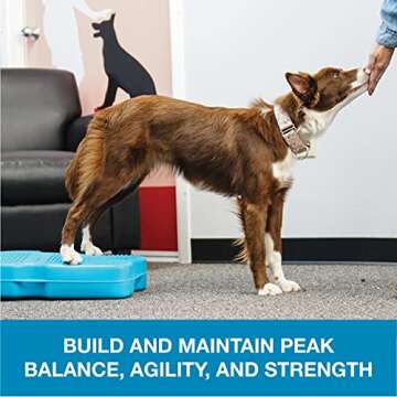 Blue-9 Propel Air Platform Kit For Dog Training Excellence