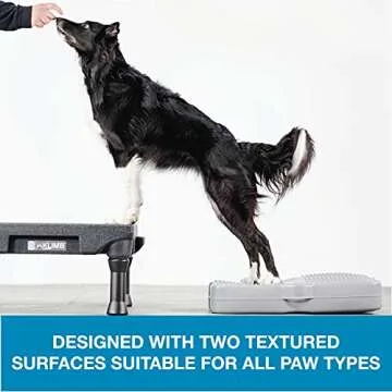 Blue-9 Propel Air Platform Kit For Dog Training Excellence