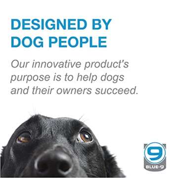 Blue-9 Propel Air Platform Kit For Dog Training Excellence