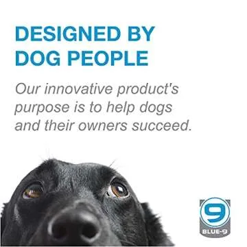 Blue-9 Propel Air Platform Kit For Dog Training Excellence