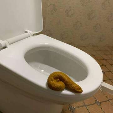 Realistic Fake Poop Prank Toys Pack for Jokes