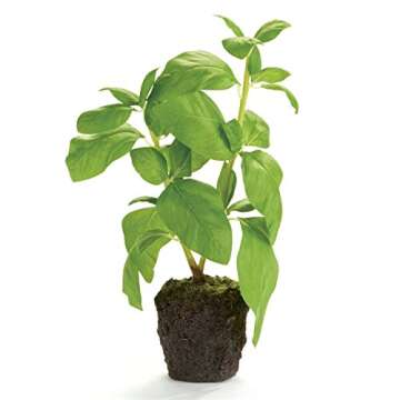 Basil Dropin 9" Artificial Faux (Fake) Herb Drop-In Plant