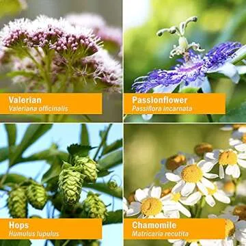 Herb Pharm Relaxing Sleep Herbal Formula with Valerian Extract - 1 Ounce