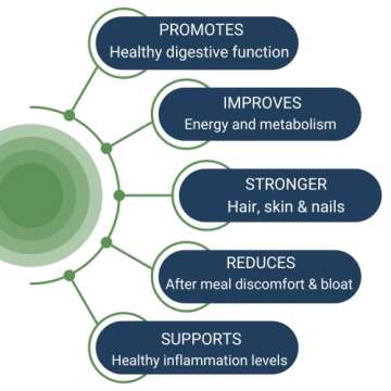 Healthy Gut HCL Guard+ | Promotes Healthy Digestive Function | Betaine Hydrochloride, Organic Ginger Root and DGL, & Pepsin | 60 Servings